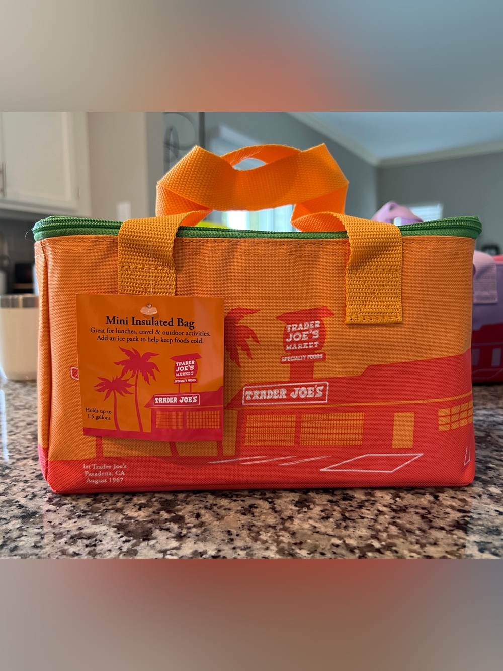 Trader Joe's 2026 Orange & Green Mini Cooler, insulated cooler tote NWT